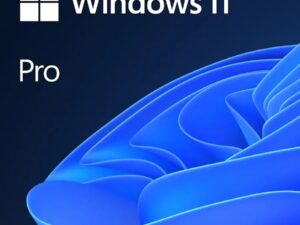 Microsoft Windows 11 Pro 32/64-bit - License - 1 License - Download - All Languages